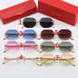 2601 Sunglasses with box