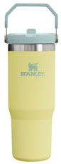 Stanley IceFlow Tumbler with Handle, Twist-On Lid and Flip-Up Straw, Leak-Resistant Water Bottle, Insulated Stainless Steel, BPA-Free, 887 ml, Grapefruit
