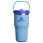 Stanley IceFlow™ Flip Straw Tumbler | 20 OZ