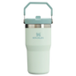 Stanley IceFlow™ Flip Straw Tumbler | 20 OZ